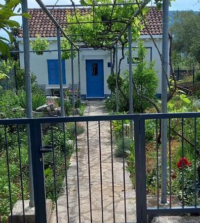 Studio Apartman Roza Ston Exterior foto