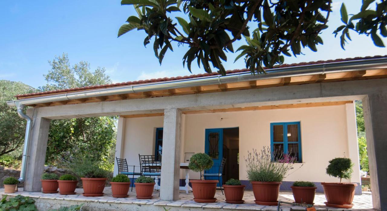 Studio Apartman Roza Ston Exterior foto